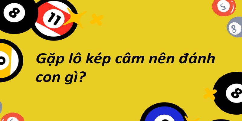 Các số đi kèm nên đánh khi thấy kép câm